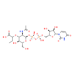 ChemSpider 2D Image | 2-{[(2R,3R,4R,5S,6R)-3-Acetamido-2-{[(R)-{[(R)-{[(2R,3S,4R,5R)-5-(2,4-dioxo-3,4-dihydro-1(2H)-pyrimidinyl)-3,4-dihydroxytetrahydro-2-furanyl]methoxy}(hydroxy)phosphoryl]oxy}(hydroxy)phosphoryl]oxy}-5-
hydroxy-6-(hydroxymethyl)tetrahydro-2H-pyran-4-yl]oxy}butanoic acid | C21H33N3O19P2