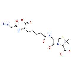ChemSpider 2D Image | (2S,5R,6R)-6-({(6S)-6-[(Ammonioacetyl)amino]-6-carboxylatohexanoyl}amino)-3,3-dimethyl-7-oxo-4-thia-1-azabicyclo[3.2.0]heptane-2-carboxylate | C17H25N4O7S
