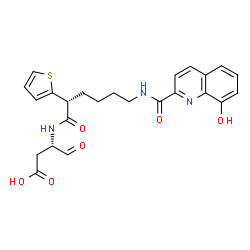 ChemSpider 2D Image | 3-{6-[(8-HYDROXY-QUINOLINE-2-CARBONYL)-AMINO]-2-THIOPHEN-2-YL-HEXANOYLAMINO}-4-OXO-BUTYRI ACID | C24H25N3O6S