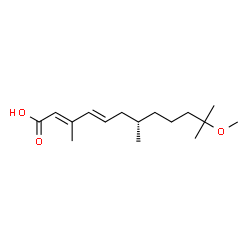 ChemSpider 2D Image | (2E,4E)-11-Methoxy-3,7,11-trimethyldodeca-2,4-dienoic acid | C16H28O3