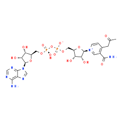 ChemSpider 2D Image | [(2R,3S,4R,5R)-5-(4-acetonyl-3-carbamoyl-pyridin-1-ium-1-yl)-3,4-dihydroxy-tetrahydrofuran-2-yl]methyl [[(2R,3S,4R,5R)-5-(6-aminopurin-9-yl)-3,4-dihydroxy-tetrahydrofuran-2-yl]methoxy-hydroxy-phosphoryl] phosphate | C24H31N7O15P2
