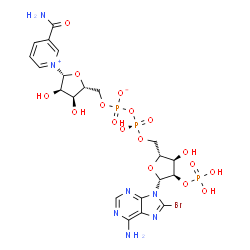 ChemSpider 2D Image | [[(2R,3R,4R,5R)-5-(6-amino-8-bromo-purin-9-yl)-3-hydroxy-4-phosphonooxy-tetrahydrofuran-2-yl]methoxy-hydroxy-phosphoryl] [(2R,3S,4R,5R)-5-(3-carbamoylpyridin-1-ium-1-yl)-3,4-dihydroxy-tetrahydrofuran-2-yl]methyl phosphate | C21H27BrN7O17P3