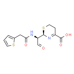 ChemSpider 2D Image | (2R)-2-{(1R)-2-Oxo-1-[(2-thienylacetyl)amino]ethyl}-5,6-dihydro-2H-1,3-thiazine-4-carboxylic acid | C13H14N2O4S2