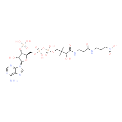 ChemSpider 2D Image | [(2R,3S,4R,5R)-5-(6-Amino-9H-purin-9-yl)-4-hydroxy-3-(phosphonooxy)tetrahydro-2-furanyl]methyl (3R)-3-hydroxy-2,2-dimethyl-4-({3-[(3-nitropropyl)amino]-3-oxopropyl}amino)-4-oxobutyl dihydrogen diphosp
hate | C22H37N8O18P3