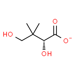 ChemSpider 2D Image | (2R)-2,4-Dihydroxy-3,3-dimethylbutanoate | C6H11O4
