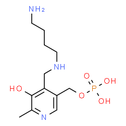 ChemSpider 2D Image | (4-{[(4-Aminobutyl)amino]methyl}-5-hydroxy-6-methyl-3-pyridinyl)methyl dihydrogen phosphate | C12H22N3O5P