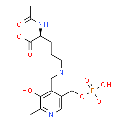 ChemSpider 2D Image | N~2~-Acetyl-N~5~-({3-hydroxy-2-methyl-5-[(phosphonooxy)methyl]-4-pyridinyl}methyl)-L-ornithine | C15H24N3O8P
