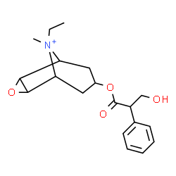 ChemSpider 2D Image | 9-Ethyl-7-[(3-hydroxy-2-phenylpropanoyl)oxy]-9-methyl-3-oxa-9-azoniatricyclo[3.3.1.0~2,4~]nonane | C19H26NO4