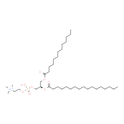 ChemSpider 2D Image | (7R)-4-Hydroxy-N,N,N-trimethyl-9-oxo-7-[(tridecanoyloxy)methyl]-3,5,8-trioxa-4-phosphapentacosan-1-aminium 4-oxide | C38H77NO8P