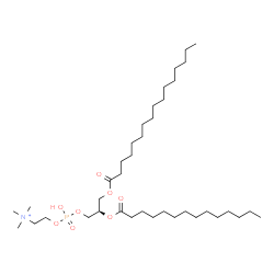 ChemSpider 2D Image | 1-hexadecanoyl-2-tetradecanoyl-sn-glycero-3-phosphocholine | C38H77NO8P