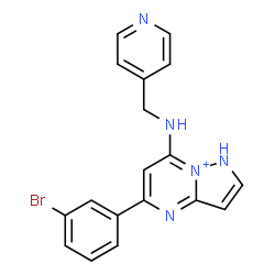 ChemSpider 2D Image | 5-(3-Bromophenyl)-7-[(4-pyridinylmethyl)amino]-1H-pyrazolo[1,5-a]pyrimidin-8-ium | C18H15BrN5