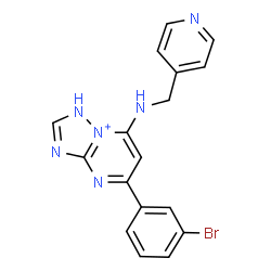 ChemSpider 2D Image | 5-(3-Bromophenyl)-7-[(4-pyridinylmethyl)amino]-1H-[1,2,4]triazolo[1,5-a]pyrimidin-8-ium | C17H14BrN6