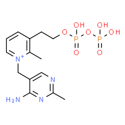 ChemSpider 2D Image | 1-[(4-Amino-2-methyl-5-pyrimidinyl)methyl]-3-(2-{[hydroxy(phosphonooxy)phosphoryl]oxy}ethyl)-2-methylpyridinium | C14H21N4O7P2