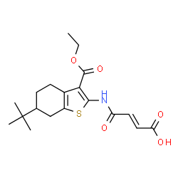 ChemSpider 2D Image | (2E)-4-{[6-tert-butyl-3-(ethoxycarbonyl)-4,5,6,7-tetrahydro-1-benzothiophen-2-yl]amino}-4-oxobut-2-enoic acid | C19H25NO5S