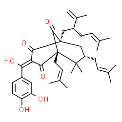 ChemSpider 2D Image | (1R,3E,5S,7S)-3-[(3,4-Dihydroxyphenyl)(hydroxy)methylene]-1-[(2R)-2-isopropenyl-5-methyl-4-hexen-1-yl]-6,6-dimethyl-5,7-bis(3-methyl-2-buten-1-yl)bicyclo[3.3.1]nonane-2,4,9-trione | C38H50O6