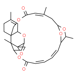 ChemSpider 2D Image | (12'Z,19'Z,21'Z)-5',13',17',26'-Tetramethyl-11'H,23'H-spiro[oxirane-2,27'-[2,10,16,24,29]pentaoxapentacyclo[23.2.1.1~15,18~.0~3,8~.0~8,26~]nonacosa[4,12,19,21]tetraene]-11',23'-dione | C29H36O8