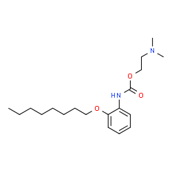 ChemSpider 2D Image | 2-(Dimethylamino)ethyl [2-(octyloxy)phenyl]carbamate | C19H32N2O3