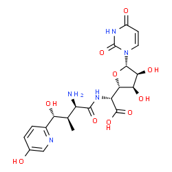 ChemSpider 2D Image | (2R)-2-[[(2R,3R,4R)-2-amino-4-hydroxy-4-(5-hydroxy-2-pyridinyl)-3-methyl-1-oxobutyl]amino]-2-[(2S,3R,4S,5S)-5-(2,4-dioxo-1-pyrimidinyl)-3,4-dihydroxy-2-oxolanyl]acetic acid | C20H25N5O10