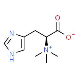 ChemSpider 2D Image | hercynine | C9H15N3O2