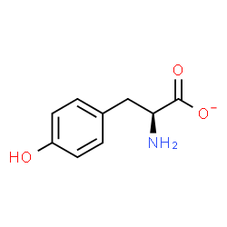 ChemSpider 2D Image | L-tyrosinate | C9H10NO3