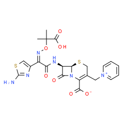 ChemSpider 2D Image | Ceftazidime | C22H22N6O7S2