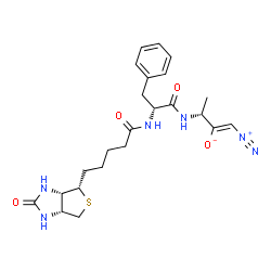 ChemSpider 2D Image | (1Z,3R)-1-Diazonio-3-[(N-{5-[(3aS,4S,6aR)-2-oxohexahydro-1H-thieno[3,4-d]imidazol-4-yl]pentanoyl}-D-phenylalanyl)amino]-1-buten-2-olate | C23H30N6O4S