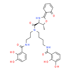 ChemSpider 2D Image | (2Z,4S,5R)-N-{4-[(2,3-Dihydroxybenzoyl)amino]butyl}-N-{3-[(2,3-dihydroxybenzoyl)amino]propyl}-5-methyl-2-(6-oxo-2,4-cyclohexadien-1-ylidene)-1,3-oxazolidine-4-carboxamide | C32H36N4O9