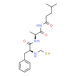 ChemSpider 2D Image | N-(Sulfanylmethyl)-L-phenylalanyl-N-(4-methylpentanoyl)-L-alaninamide | C19H29N3O3S