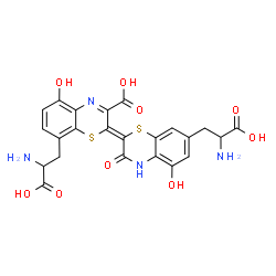 ChemSpider 2D Image | (2E)-8-(2-Amino-2-carboxyethyl)-2-[7-(2-amino-2-carboxyethyl)-5-hydroxy-3-oxo-3,4-dihydro-2H-1,4-benzothiazin-2-ylidene]-5-hydroxy-2H-1,4-benzothiazine-3-carboxylic acid | C23H20N4O9S2