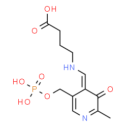 ChemSpider 2D Image | 4-{[(E)-{2-Methyl-3-oxo-5-[(phosphonooxy)methyl]-4(3H)-pyridinylidene}methyl]amino}butanoic acid | C12H17N2O7P