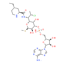 ChemSpider 2D Image | [(2R,3S,4R,5R)-5-(6-Amino-9H-purin-9-yl)-3,4-dihydroxytetrahydro-2-furanyl]methyl (2R,3S,4S,5R,6R)-2-[(1S,2S)-2-chloro-1-({[(2S,4S)-4-ethyl-2-piperidinyl]carbonyl}amino)propyl]-3,5-dihydroxy-6-(methyl
sulfanyl)tetrahydro-2H-pyran-4-yl hydrogen phosphate | C27H43ClN7O11PS