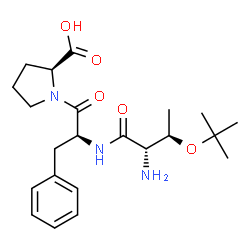 ChemSpider 2D Image | O-(2-Methyl-2-propanyl)-L-threonyl-L-phenylalanyl-L-proline | C22H33N3O5