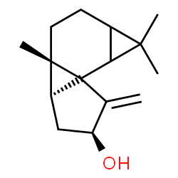 ChemSpider 2D Image | (3aS,3bS,5S)-1,1,3a-Trimethyl-6-methylenedecahydrocyclopenta[2,3]cyclopropa[1,2-a]cyclopropa[c]benzen-5-ol | C15H22O