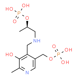 ChemSpider 2D Image | {3-[(3-HYDROXY-2-METHYL-5-PHOSPHONOOXYMETHYL-PYRIDIN-4-YLMETHYL)-AMINO]-2-METHYL-PROPYL}-PHOSPHONIC ACID | C11H20N2O9P2