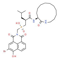 ChemSpider 2D Image | [(5-Bromo-6-hydroxy-1,3-dioxo-1H-benzo[de]isoquinolin-2(3H)-yl)methyl][(2S)-4-methyl-2-{[(3S)-2-oxoazacyclotridecan-3-yl]carbamoyl}pentyl]phosphinic acid | C32H43BrN3O7P