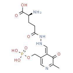 ChemSpider 2D Image | (2S)-2-Amino-5-{2-[(E)-{2-methyl-3-oxo-5-[(phosphonooxy)methyl]-4(3H)-pyridinylidene}methyl]hydrazino}-5-oxopentanoic acid | C13H19N4O8P
