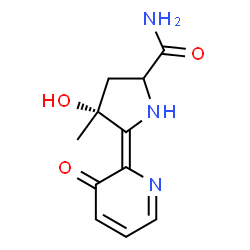 ChemSpider 2D Image | (4R,5Z)-4-Hydroxy-4-methyl-5-(3-oxo-2(3H)-pyridinylidene)prolinamide | C11H13N3O3