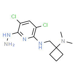 ChemSpider 2D Image | 3,5-Dichloro-N-{[1-(dimethylamino)cyclobutyl]methyl}-6-hydrazino-2-pyridinamine | C12H19Cl2N5