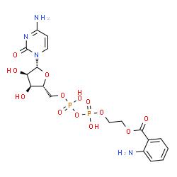 ChemSpider 2D Image | 5'-O-[({[(2-{[(2-AMINOPHENYL)CARBONYL]OXY}ETHYL)OXY]PHOSPHINATO}OXY)PHOSPHINATO]CYTIDINE | C18H24N4O13P2