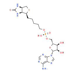 ChemSpider 2D Image | BIOTINOL-5-AMP | C20H30N7O8PS