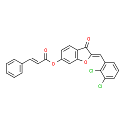 ChemSpider 2D Image | (2Z)-2-(2,3-Dichlorobenzylidene)-3-oxo-2,3-dihydro-1-benzofuran-6-yl (2E)-3-phenylacrylate | C24H14Cl2O4