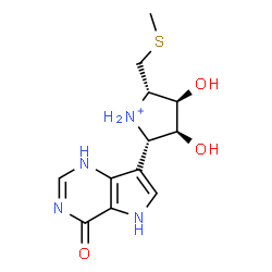 ChemSpider 2D Image | (2S,3R,4S,5S)-3,4-Dihydroxy-2-[(methylsulfanyl)methyl]-5-(4-oxo-4,5-dihydro-1H-pyrrolo[3,2-d]pyrimidin-7-yl)pyrrolidinium | C12H17N4O3S