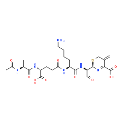ChemSpider 2D Image | N-Acetyl-L-alanyl-D-gamma-glutamyl-N-{(1R)-1-[(2R)-4-carboxy-5-methylene-5,6-dihydro-2H-1,3-thiazin-2-yl]-2-oxoethyl}-L-lysinamide | C24H36N6O9S