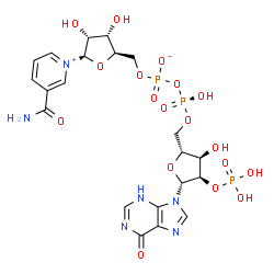ChemSpider 2D Image | nicotinamide-(6-deamino-6-hydroxy-adenine)-dinucleotide phosphate | C21H27N6O18P3