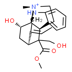 ChemSpider 2D Image | (1S,9R,10S,12S,13Z,15S)-13-Ethylidene-10-hydroxy-18-(hydroxymethyl)-18-(methoxycarbonyl)-15-methyl-8-aza-15-azoniapentacyclo[10.5.1.0~1,9~.0~2,7~.0~9,15~]octadeca-2,4,6-triene | C22H29N2O4