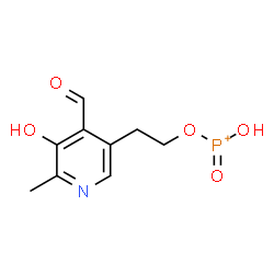 ChemSpider 2D Image | [2-(4-Formyl-5-hydroxy-6-methyl-3-pyridinyl)ethoxy](hydroxy)oxophosphonium | C9H11NO5P