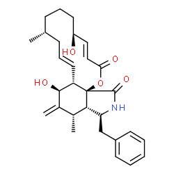 ChemSpider 2D Image | (7S,13E,16R,20R,21E)-7,20-Dihydroxy-16-methyl-10-phenyl-24-oxo[14]cytochalasa-6(12),13,21-triene-1,23-dione | C29H37NO5