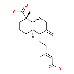 ChemSpider 2D Image | (1S,4aR,5S,8aR)-5-[(3E)-4-Carboxy-3-methyl-3-buten-1-yl]-1,4a-dimethyl-6-methylenedecahydro-1-naphthalenecarboxylic acid | C20H30O4