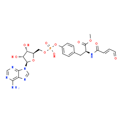 ChemSpider 2D Image | Methyl (2S)-3-(4-{[{[(2R,3S,4R,5R)-5-(6-amino-9H-purin-9-yl)-3,4-dihydroxytetrahydro-2-furanyl]methoxy}(hydroxy)phosphoryl]oxy}phenyl)-2-{[(2E)-4-oxo-2-butenoyl]amino}propanoate | C24H27N6O11P