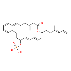 ChemSpider 2D Image | (4E,6E,12Z,14Z,16E)-7,19-Dimethyl-20-methylene-2-[(3E)-3-methyl-3,5-hexadien-1-yl]-22-oxooxacyclodocosa-4,6,12,14,16-pentaen-8-yl dihydrogen phosphate | C31H45O6P